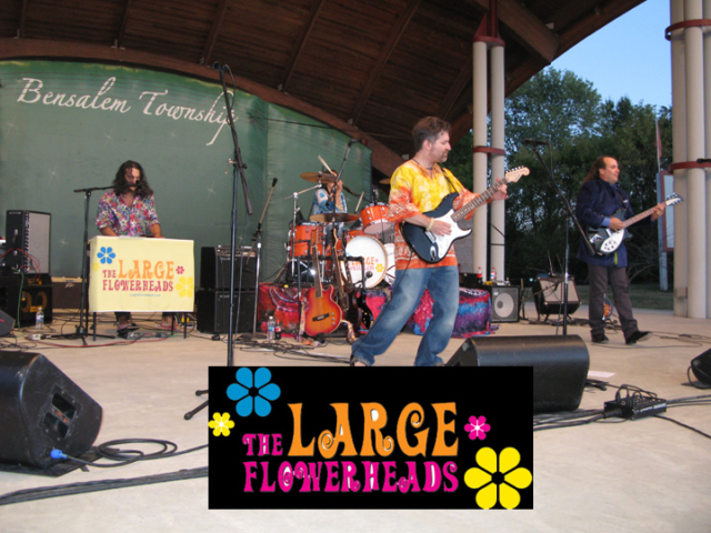 The Large Flowerheads 2010