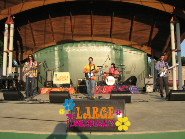 The Large Flowerheads 2011