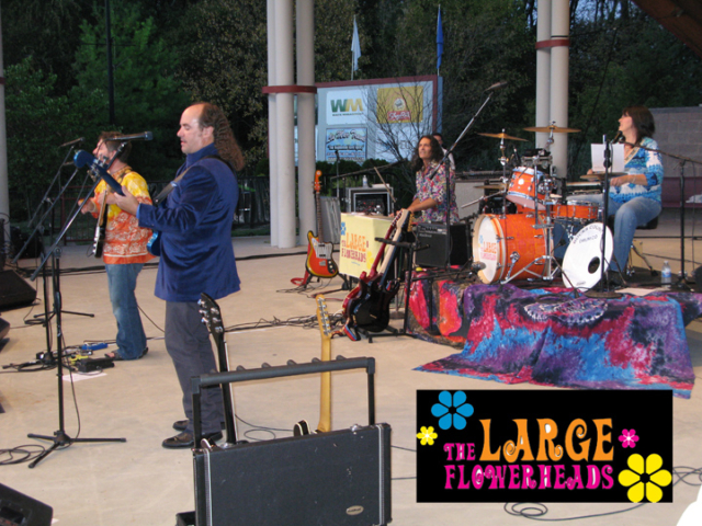 The Large Flowerheads 2010