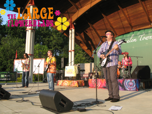 The Large Flowerheads 2011